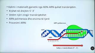 9 06 039  Java 20  Biologji  Biosinteza e acideve nukleike dhe biosinteza e proteinave [upl. by Nosirb577]