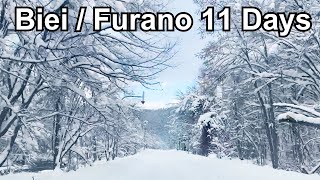 11 Days Hokkaido Winter Road Trip  Hokkaido Travel Vlog EP2  Biei Furano Hoshino Resorts Tomamu [upl. by Rebah]