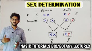 Sex Determination 13  Different Mechanisms of Sex Determination  Genetics  BS [upl. by Zakaria583]