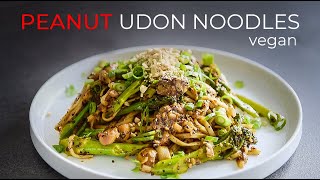 Peanut Noodles Recipe  EASY Sichuan Style Udon [upl. by Nref]