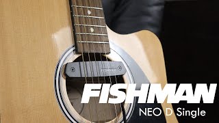 Review Captador Passivo Fishman Neo D Single [upl. by Haleehs]