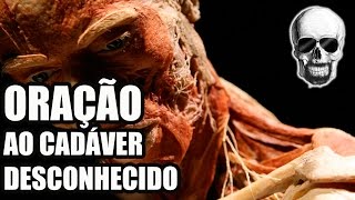 28  Oração ao Cadáver Desconhecido  Uma Lição de Respeito [upl. by Airdnua137]