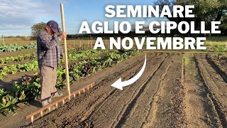 La SEMINA dell’AGLIO e delle CIPOLLE a NOVEMBRE [upl. by Eisle]