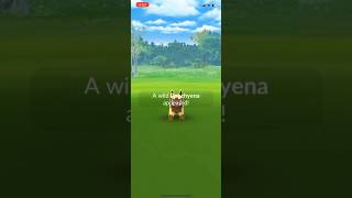 Shiny Poochyena in the Wild dodgemon shinypokemon poochyena pokemon [upl. by Orms652]