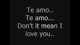 Rihanna  Te Amo Lyrics [upl. by Adnek]