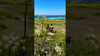 Living in Paradise  The Beauty of Guernsey’s Coastline [upl. by Iden]