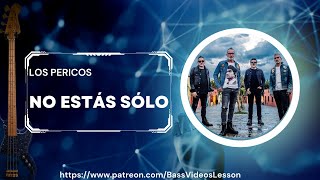 Los Pericos  No Estás Sólo  Bass Cover [upl. by Aloeda468]