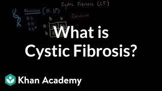 What is cystic fibrosis  Respiratory system diseases  NCLEXRN  Khan Academy [upl. by Shana146]