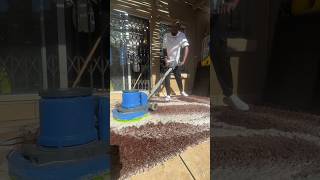 Asmr Carpet Deep Clean asmr satisfyingvideo deepcleaning cleanhome [upl. by Duarte]