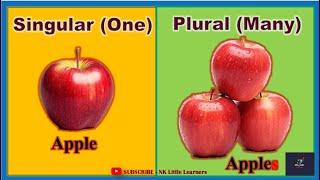 Singular and Plural  Singular and Plural Nouns  One or Many  Use of S or es  NK little learners [upl. by Ayatnohs227]