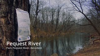 Pequest River Trout [upl. by Peregrine]