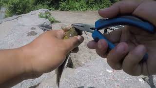 Family fishing at island lake Orangeville  Chinguacousy Park [upl. by Alyakam]