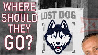 UConn College Footballs Lost Dog [upl. by Eneles824]