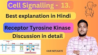 Receptor Tyrosine Kinase  Receptor Tyrosine Kinase Pathway  RTK Pathway [upl. by Seyer]