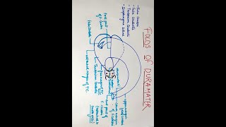 anatomymadeeasy medicose cranialcavity FOLDS OF DURA MATER ANATOMY MBBS [upl. by Enyamrahc]