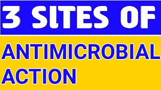 SITES OF ANTIMICROBIAL ACTION pharmacology pharmacy nursing doctor [upl. by Luz]