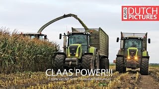 Claas POWER with chiptuned Jaguar 960 and much tractors  Pleizier amp Timmer  Mais  Maize [upl. by Htaras]