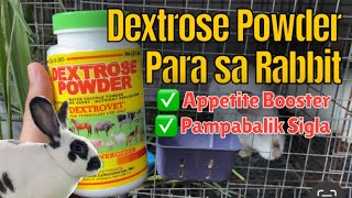 Dextrose Powder para sa Rabbit [upl. by Anomahs483]