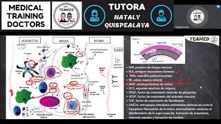 ARTERITIS DE TAKAYASU DEFINICIONES EPIDEMIOLOGÍA Y FISIOPATOLOGÍA [upl. by Norred958]