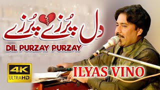 Dil Purzay Purzay  Singer  Muhammad Ilyas Vino [upl. by Holcomb]