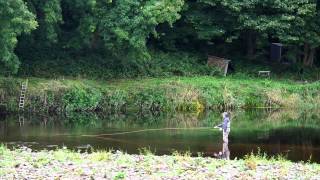 Salmon Fishing at Fortwilliam Estate Lismore Co Waterford [upl. by Ahsienel]