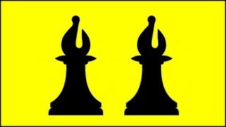 Checkmate with Two Bishops [upl. by Neelak157]