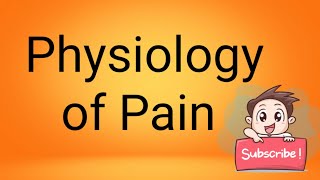 Physiology of Pain [upl. by Aihseuqram]