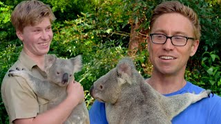 I Cuddled Koalas With Robert Irwin [upl. by Ehc835]