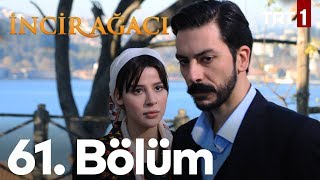 İncir Ağacı 61 Bölüm [upl. by Hanover]