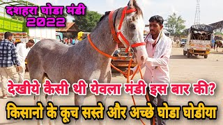 घर बैठे दशहरा येवला मंडी की एक साथ सेहर कर लो। horse for sale in Yeola [upl. by Archy]