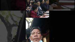 Yan ang isang meriam defensor santiago tameme ang pag nag salita [upl. by Nylecsoj981]