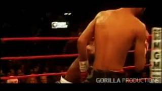 Floyd Mayweather career tribute  Teaser by GP [upl. by Aynos]