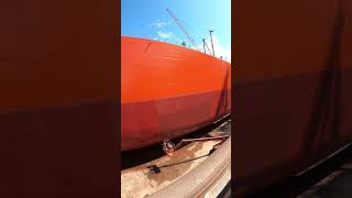 Antifouling paintvisit channel subscribe 🙏 merchantnavy ocean ship sealife nauticalscience [upl. by Akoyin]