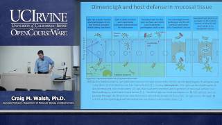 Biological Sciences M121 Immunology with Hematology Lecture 18 Bodily Defense Against Infection [upl. by Auhsuoj]