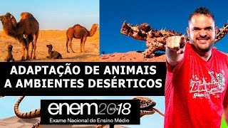 ADAPTAÇÃO DE ANIMAIS A AMBIENTES DESÉRTICOS  ENEM 2018 LISTA 24 QUESTÃO 14 [upl. by Eilahs]