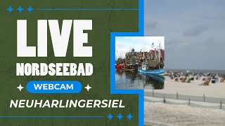 Live vom NordseeStrand in Neuharlingersiel [upl. by Auberbach]