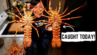 WORLD’S BEST CRAYFISH and PĀUA in Wairarapa New Zealand  New Zealand food tour [upl. by Leinadnhoj]