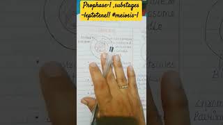 Prophase 1leptotene meiosis 1 bouquet stage of chromosomesneet2024 basics [upl. by Notneb297]