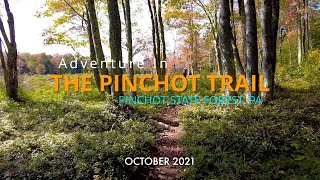 Pinchot Trail South Loop  Pinchot State Forest  PA [upl. by Anertac]