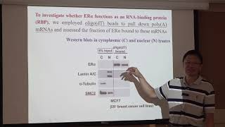 20231018｜TetOnTetOff HITSCLIP CLIPSeq Polysome profiling Growth Gene [upl. by Illona]