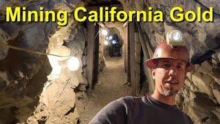 Mining California Gold [upl. by Anez]