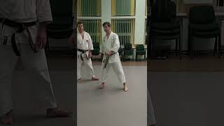 Nijushiho kata effective bunkai nr 4 and nr 5 shorts [upl. by Jahdiel]