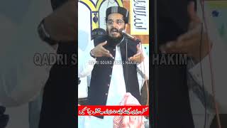 Muhammad Muavia Azam Shb MPAJHANG Mp allama muavia azam tariq about gustakh e sahaba shanesahaba [upl. by Atnoled246]