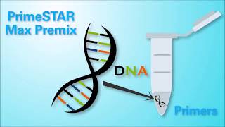 High Fidelity and FAST PCR  PrimeSTAR Premix from Takara Bio [upl. by Vine]