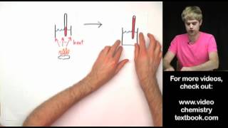 Food Calorimetry Lab Explanation [upl. by Aissilem]