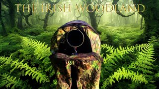 The Irish Woodland  My year highlights [upl. by Bibah]