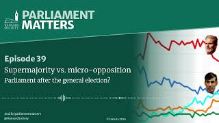 Supermajority vs microopposition Parliament after the general election [upl. by Undis]