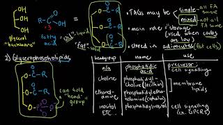 BIOCHEM 10  Saponifiable Lipids [upl. by Occer]