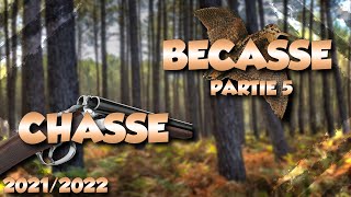 CHASSE BECASSE JEUNE POINTER DE 6 MOIS [upl. by Oralle432]