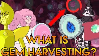 WHAT IS GEM HARVESTING Steven Universe Theory Crystal Clear Ep 45 [upl. by Crescantia]